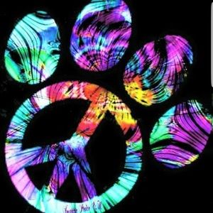 Meet your Posher, Pat